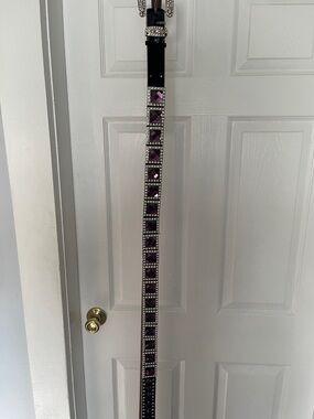 Custom show belt by WbAtlas